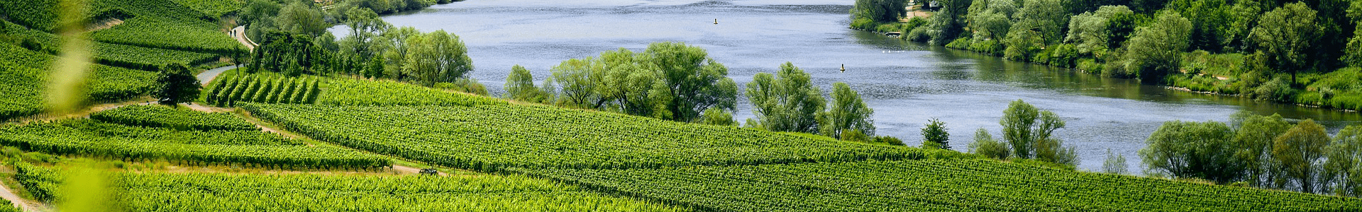 Domaine de Trévallon