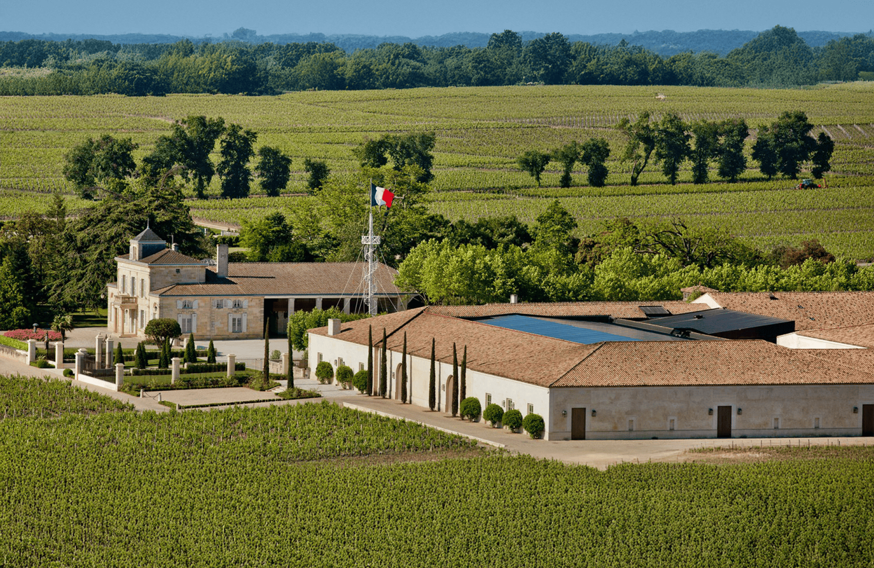 Château Montrose