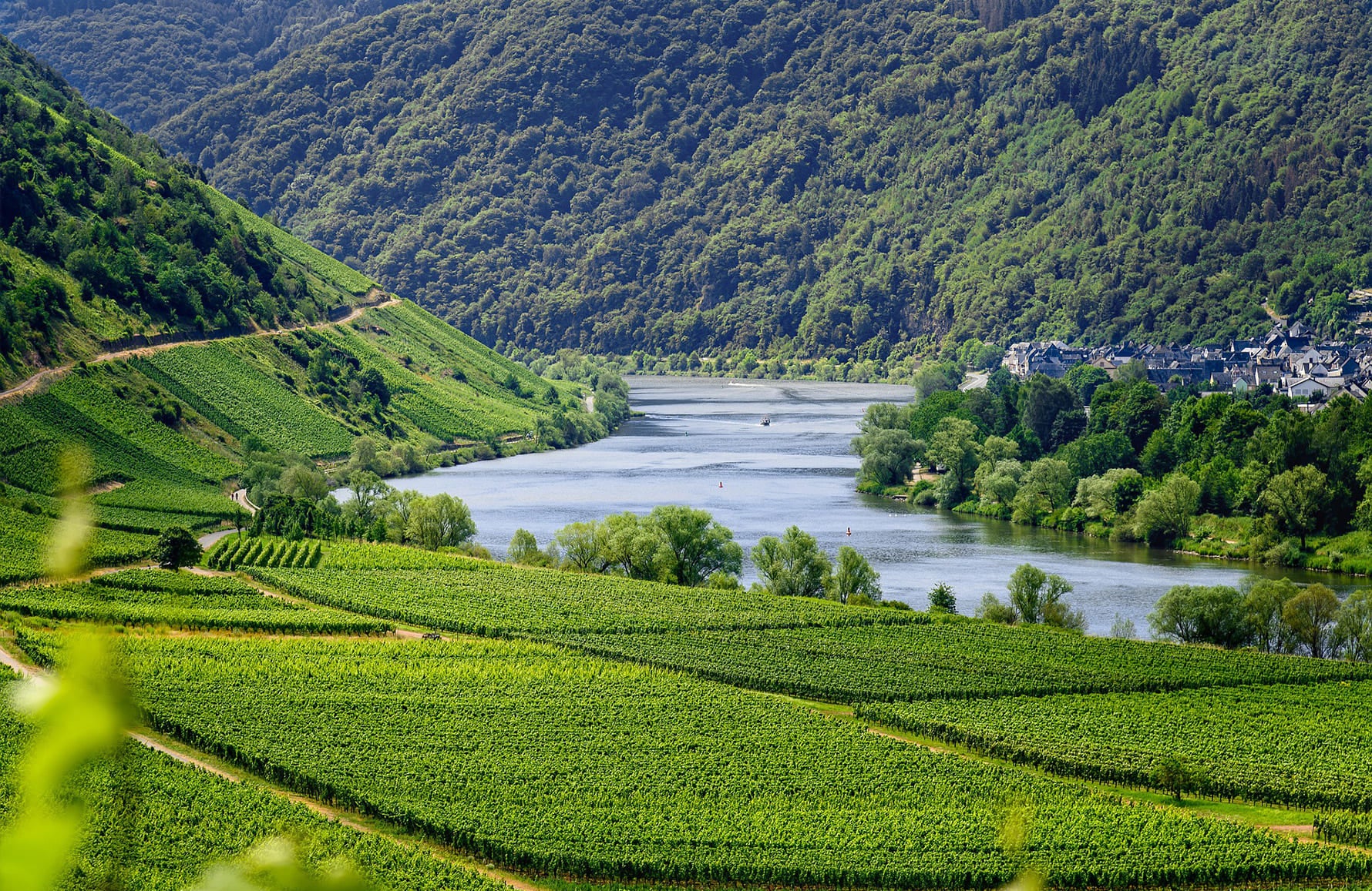 l’histoire du Frédéric Mabileau