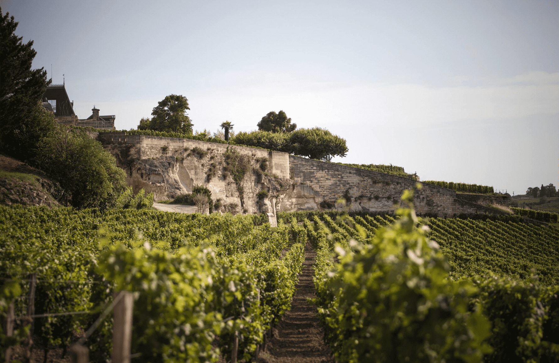 the story of Château Ausone