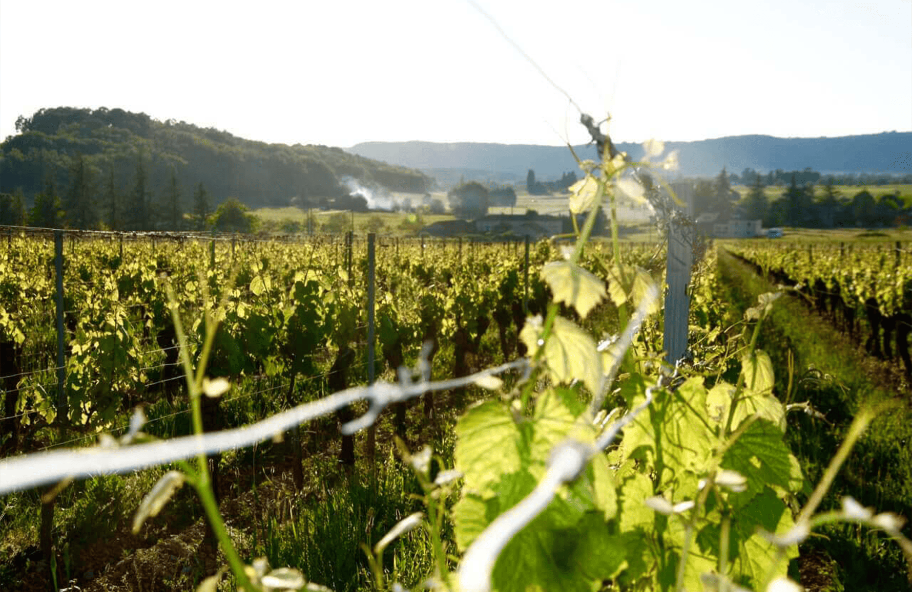 l’histoire du Château du Cèdre