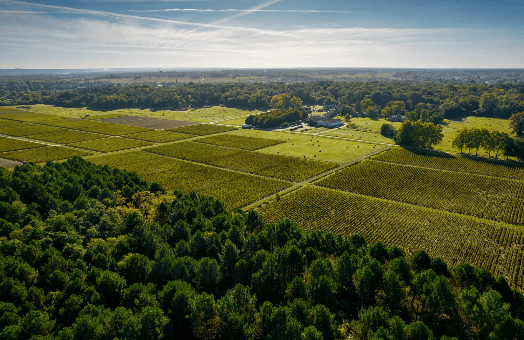 l’histoire du Château Olivier