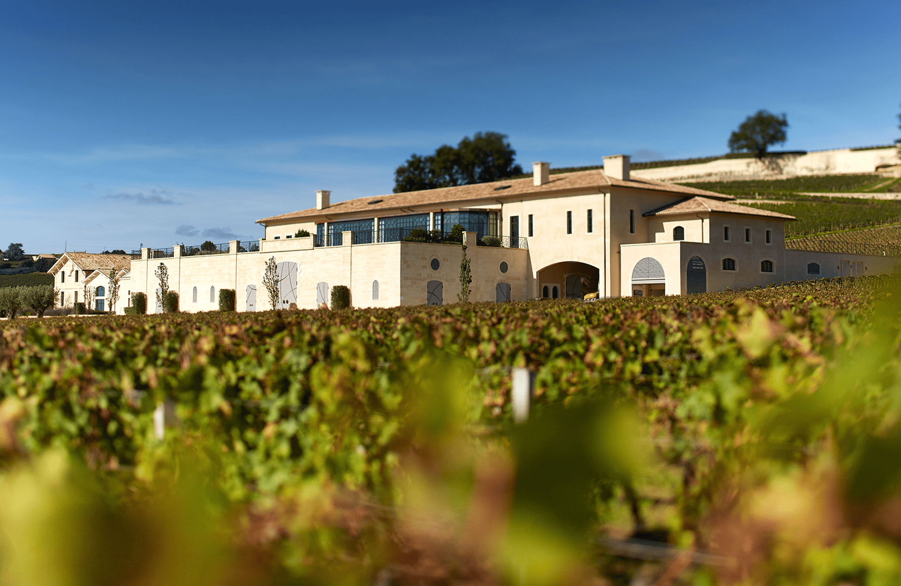 historien om Château Pavie Decesse