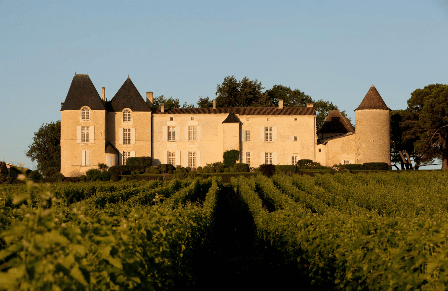 l’histoire du Château d'Yquem