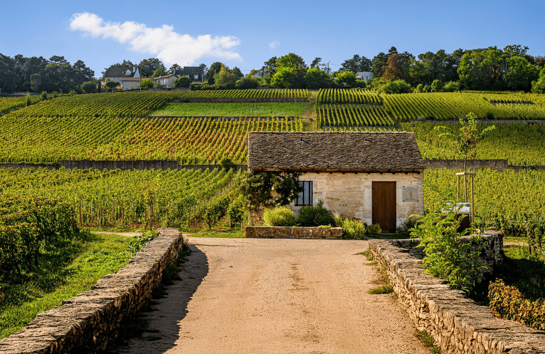 historien om Domaine Bouchard Père et Fils