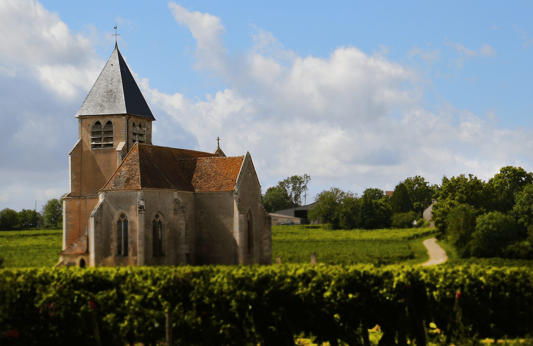 the story of Brocard Family