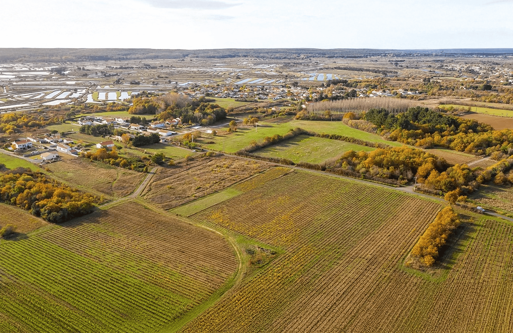 historien om Domaine Saint-Nicolas