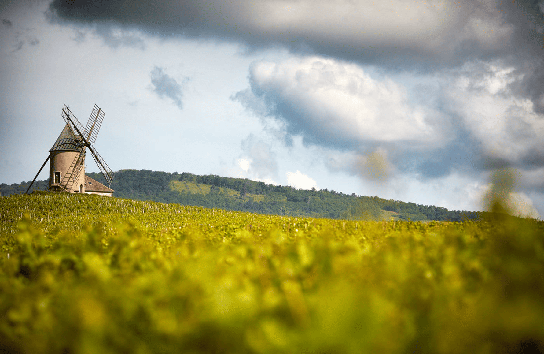 l’histoire du Famille Labruyère