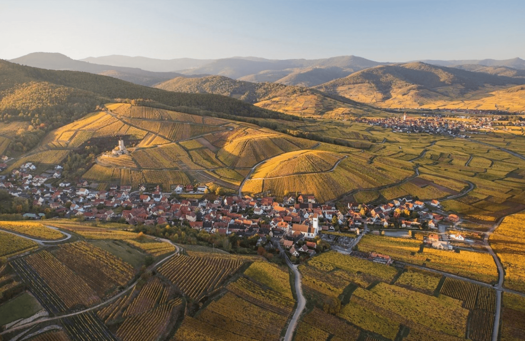 l’histoire du Marcel Deiss