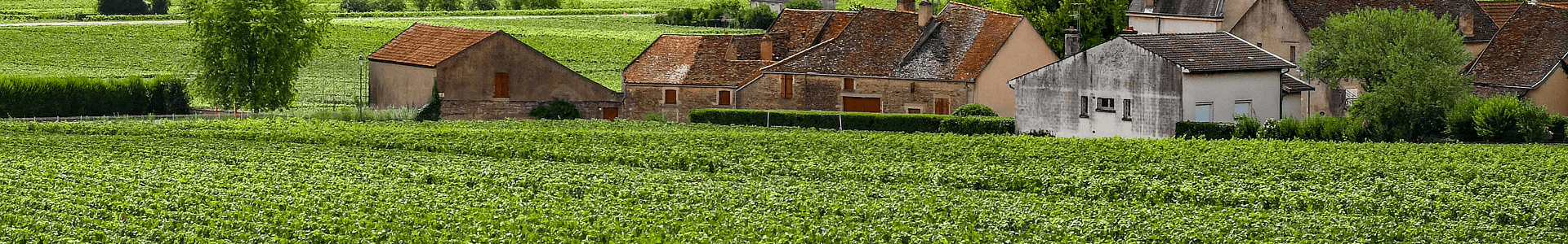 Domaine Hubert Lamy