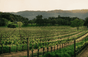 Joseph Phelps Vineyards - United States