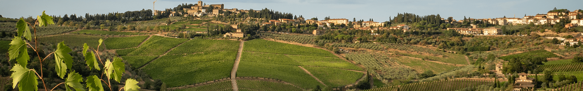 Bibi Graetz - Italie