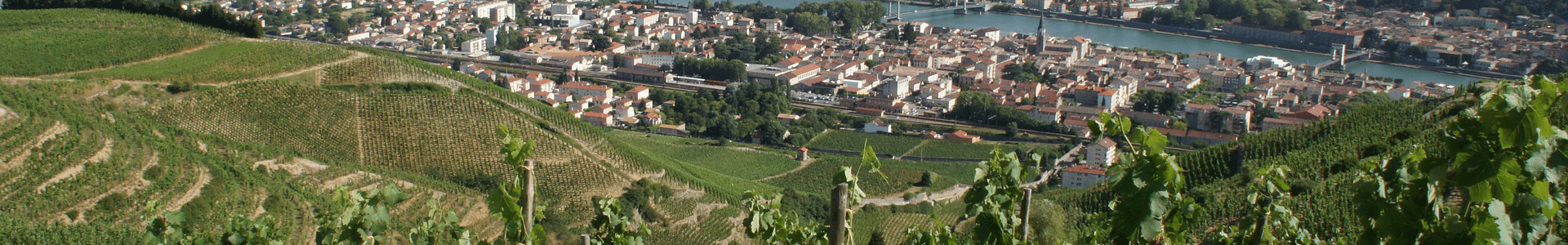 Clos des Papes