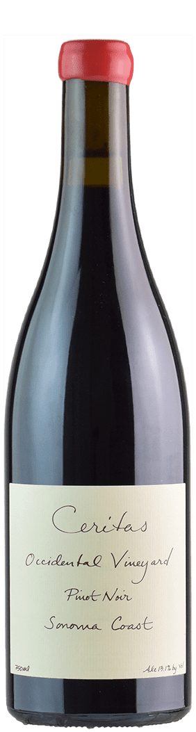  Sonoma Coast 2020