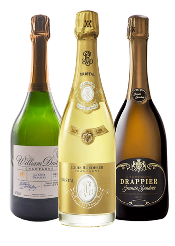 Découverte d'Élite de Champagnes 2015