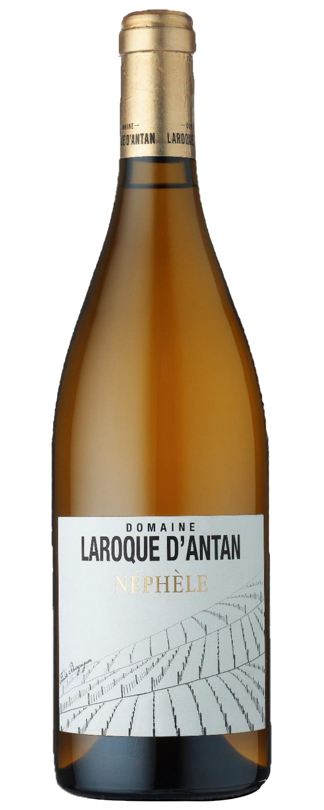 Domaine Laroque dAntan - Côtes du Lot Nephèle 2020