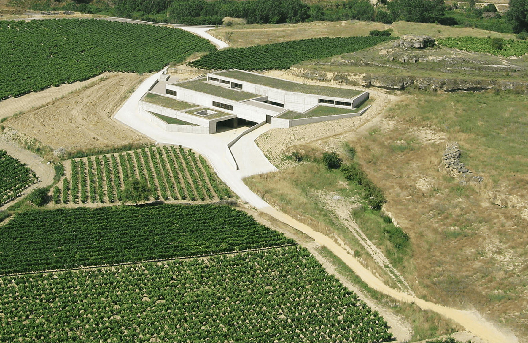 the story of Bodega Contador - Spain