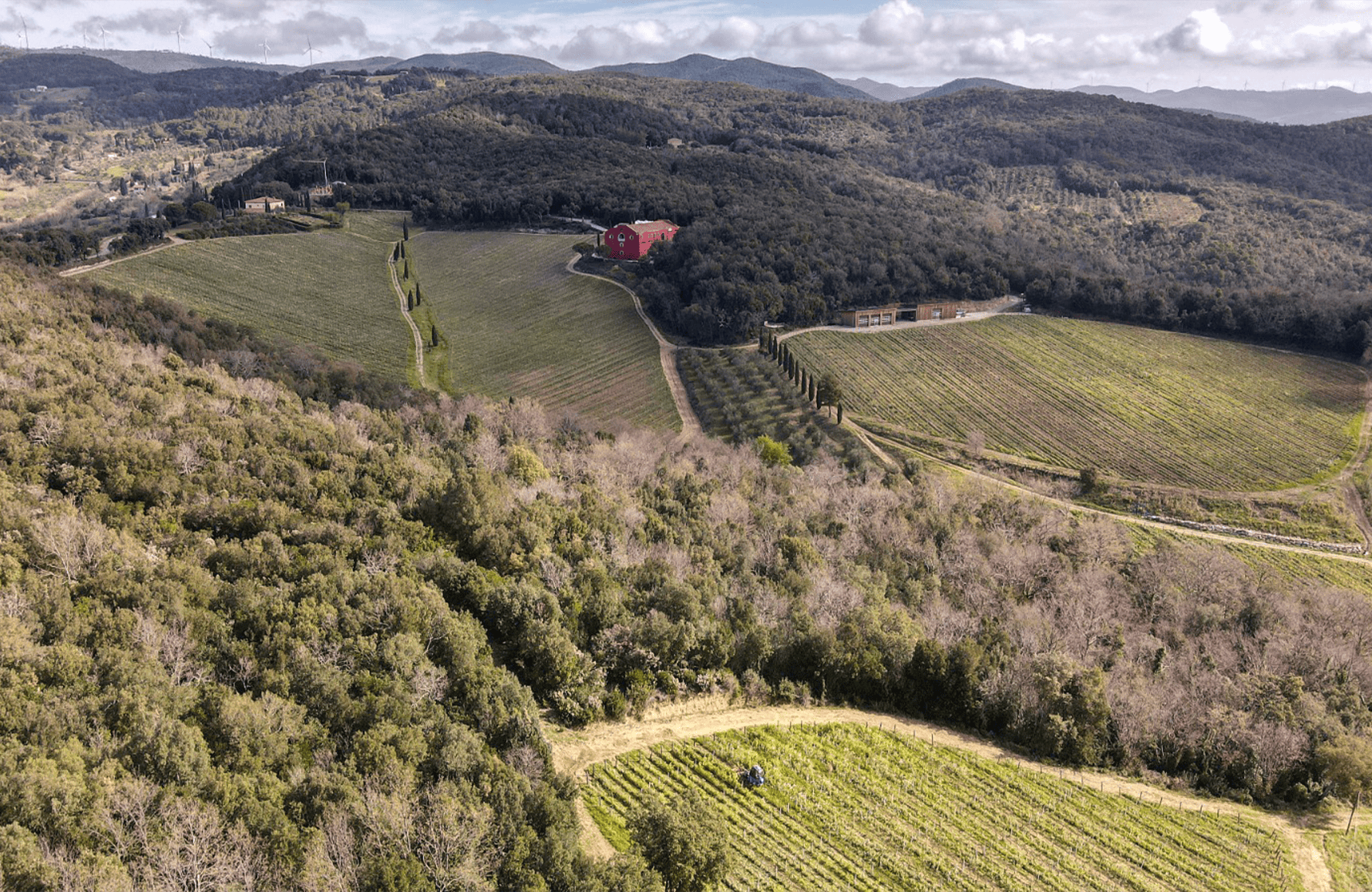 the story of Caiarossa - Italy