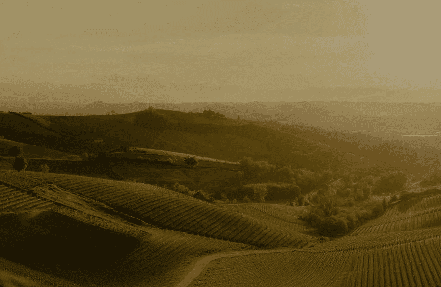 historien om Cascina delle Rose - Italie