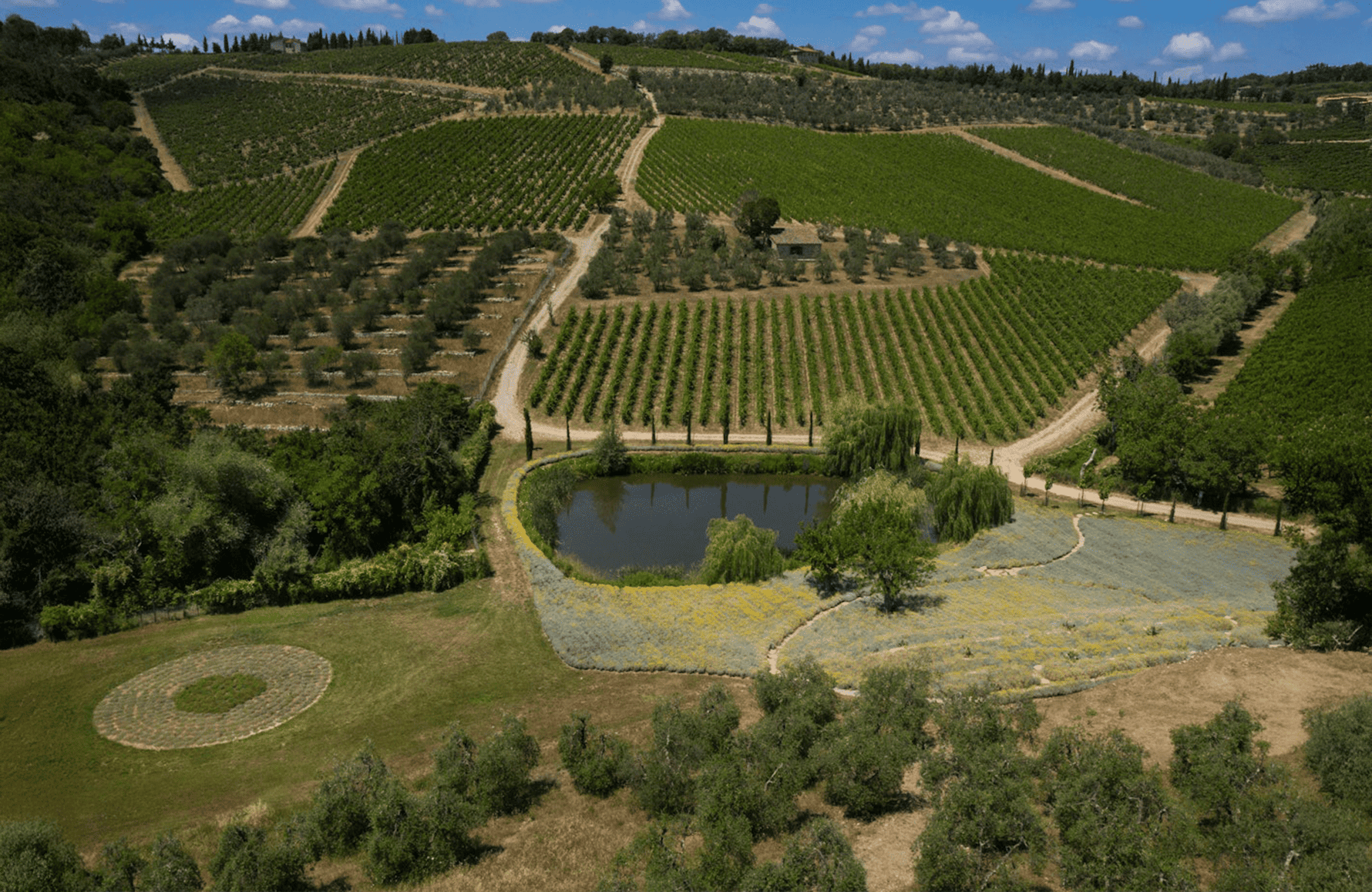 historien om Castello Di Ama - Italie