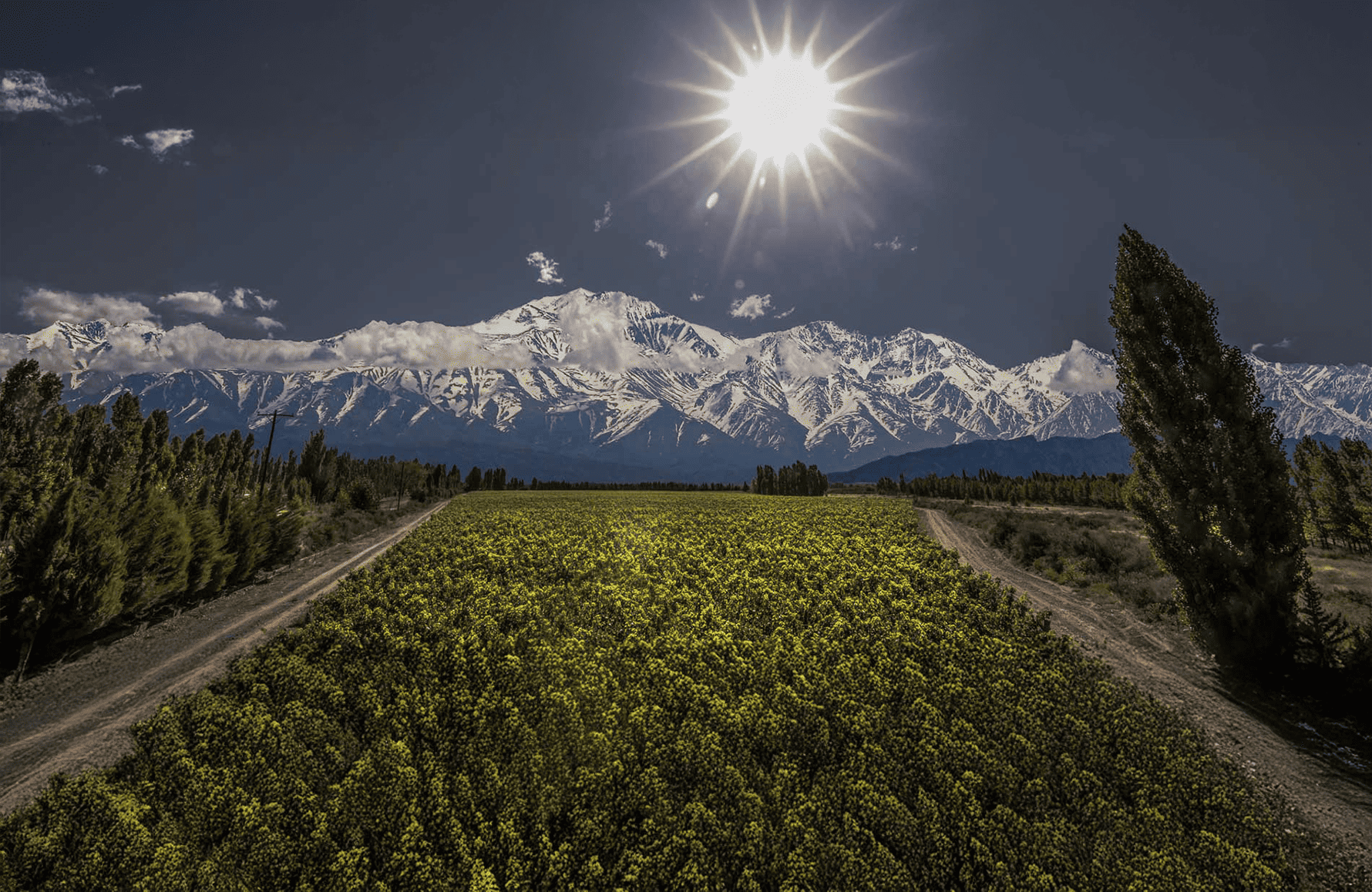 the story of Catena Zapata - Argentina