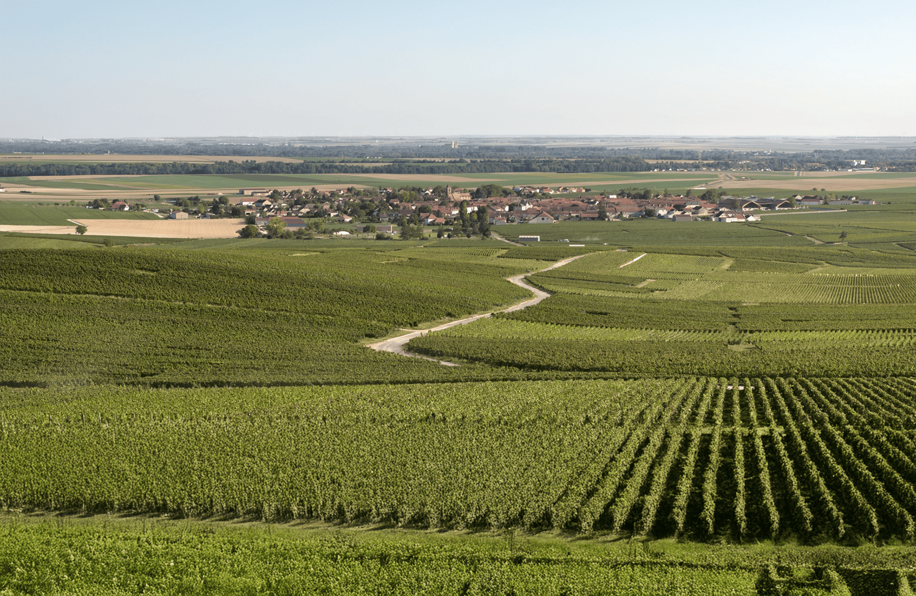 historien om Champagne Charles Heidsieck