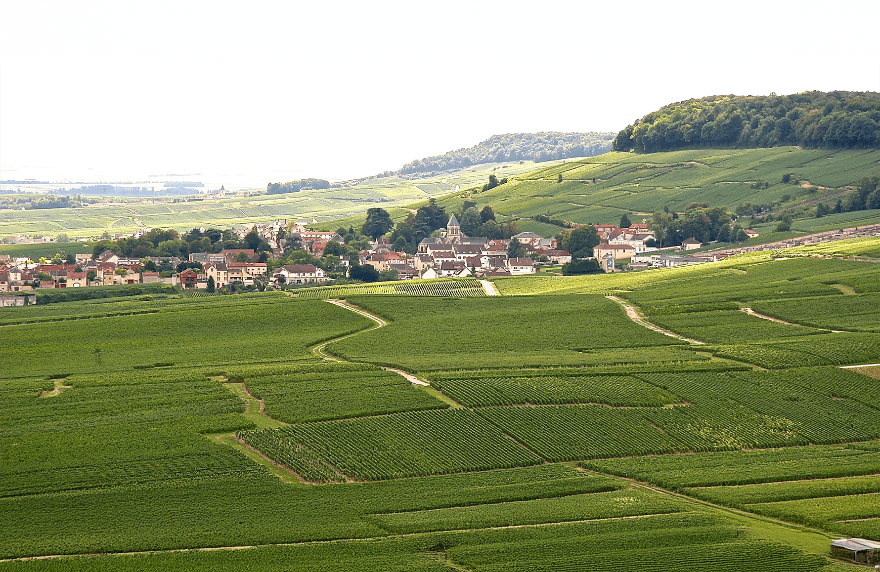 l’histoire du Champagne De Sousa