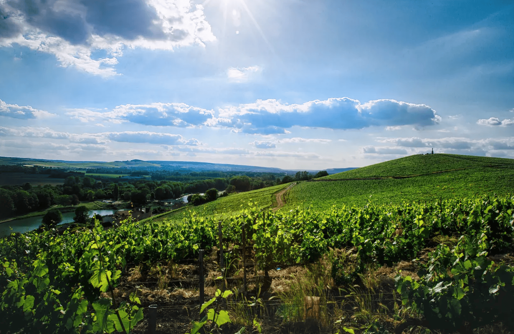 historien om Champagne Philipponnat
