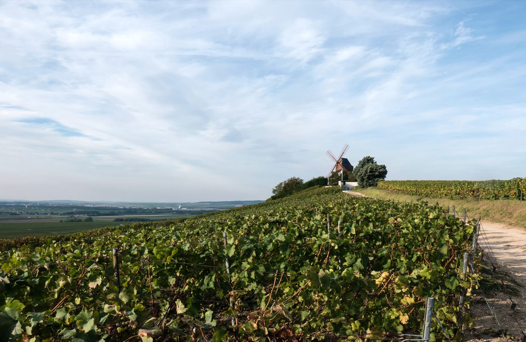 l’histoire du Champagne J. Telmont