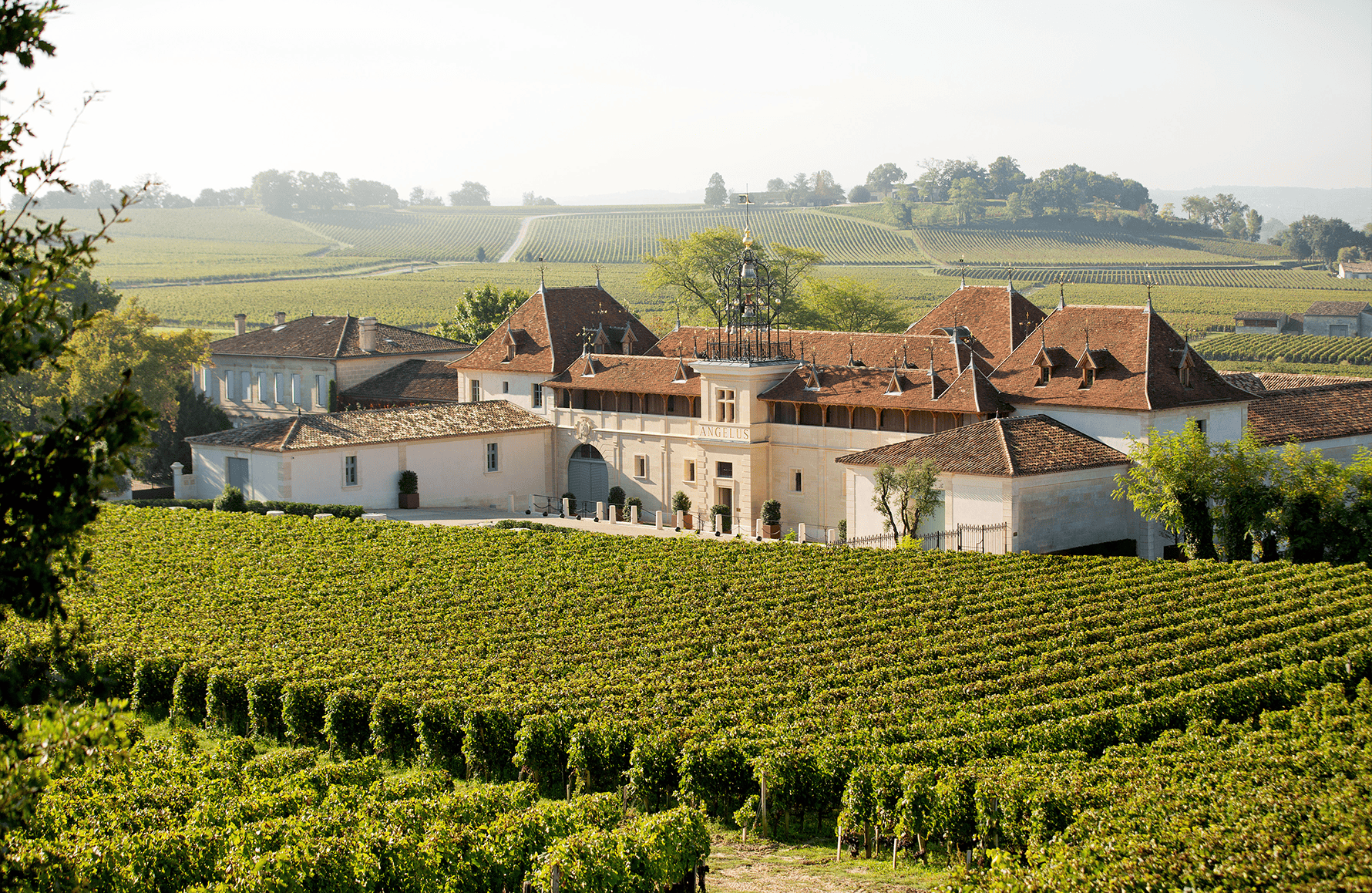 l’histoire du Château Angelus
