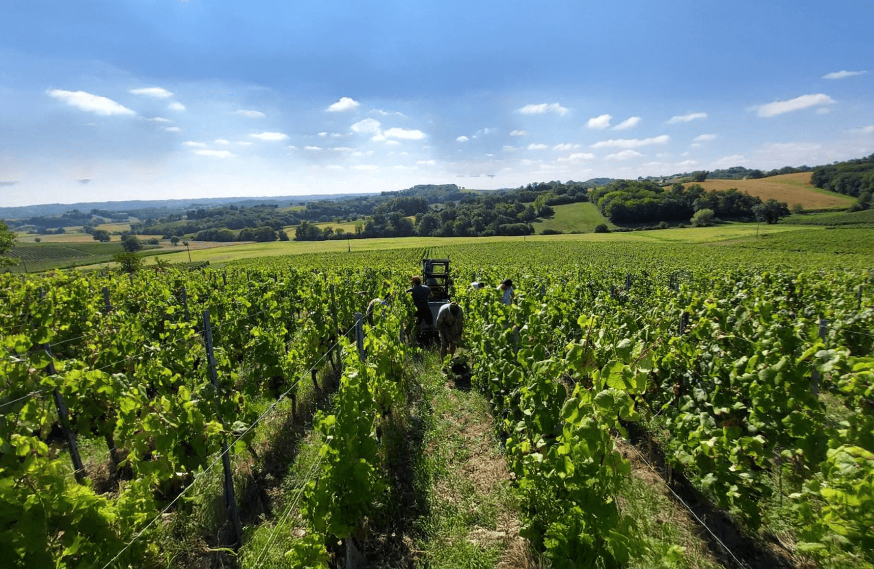 the story of Aydie Castle