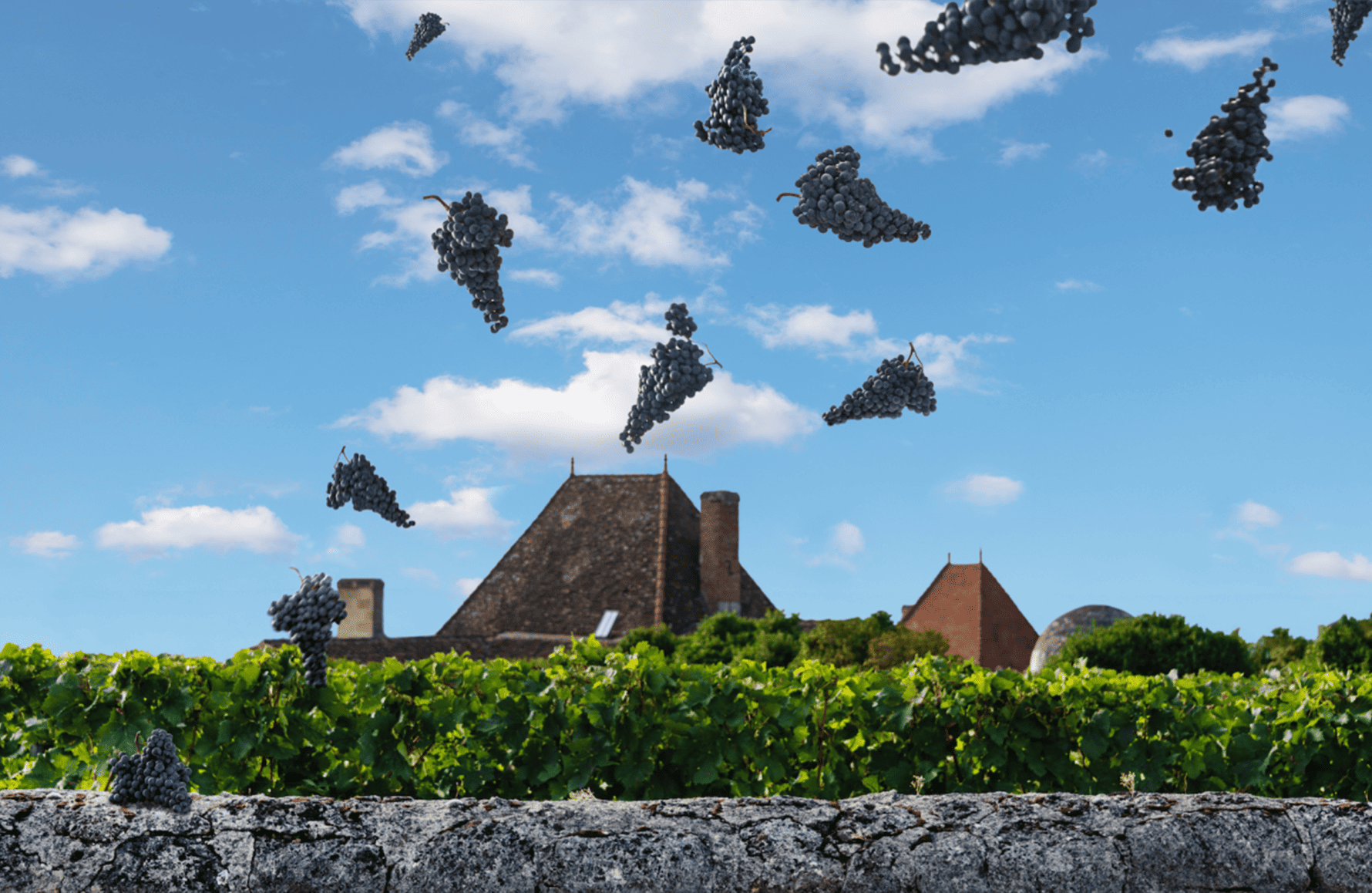 historien om Château Bélair-Monange