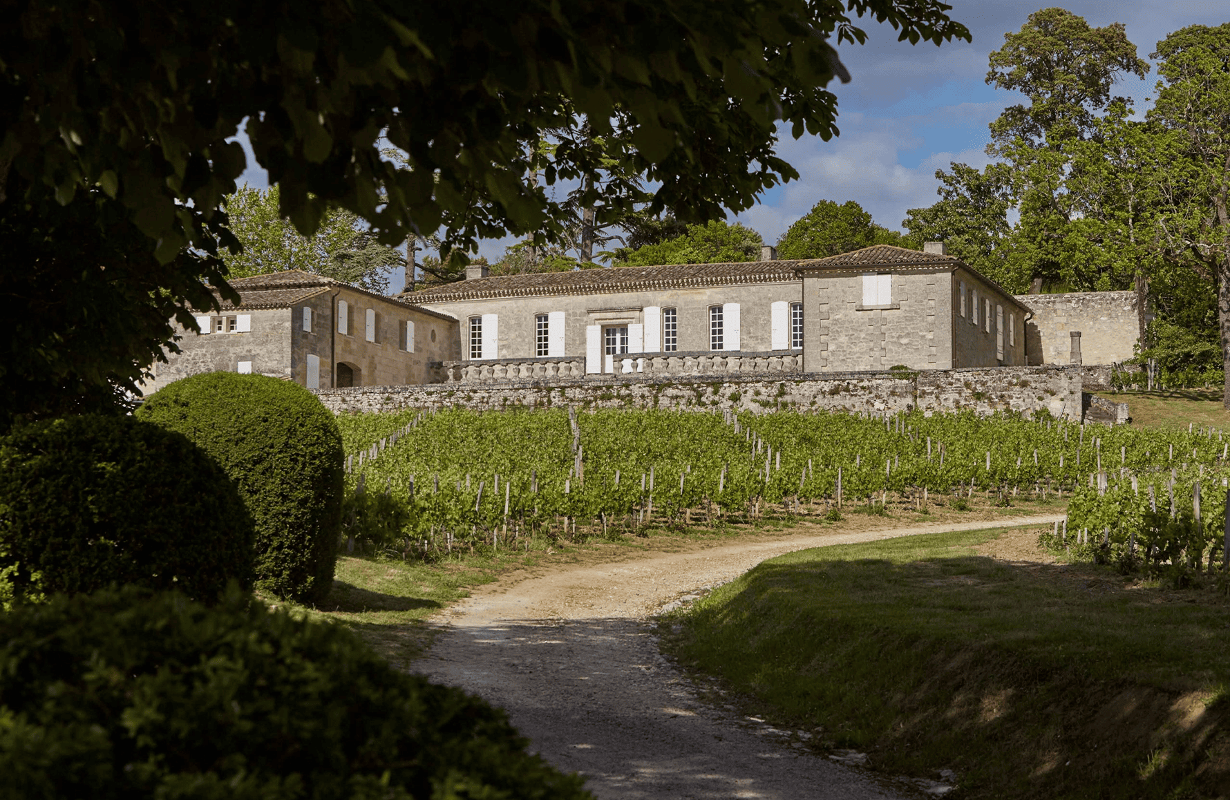 the story of Bellevue Castle
