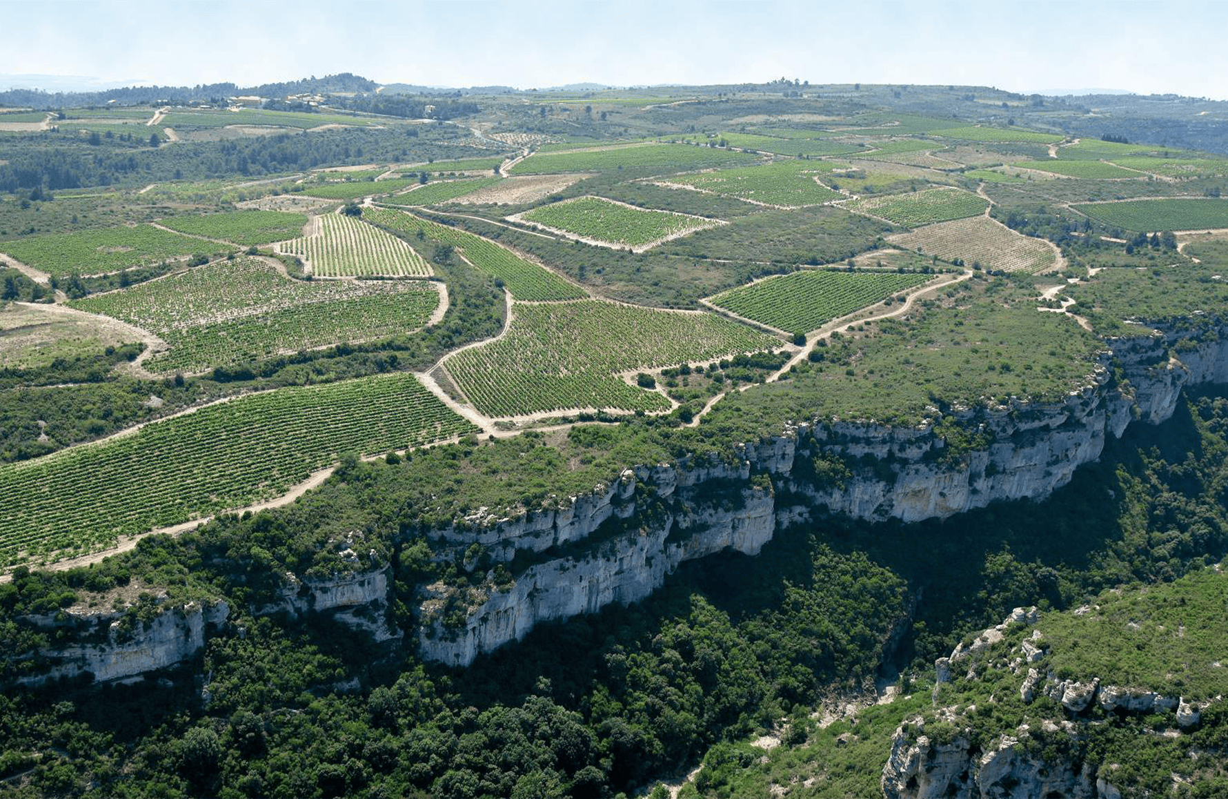 historien om Château Coupe-Roses