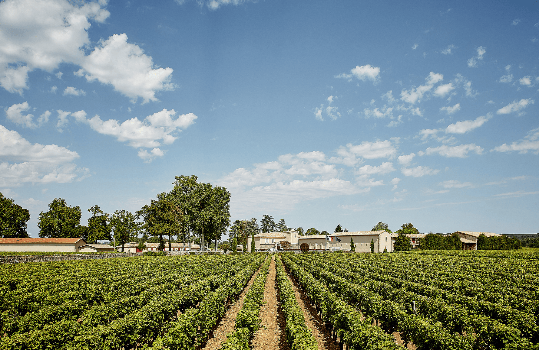 the story of Château Coutet