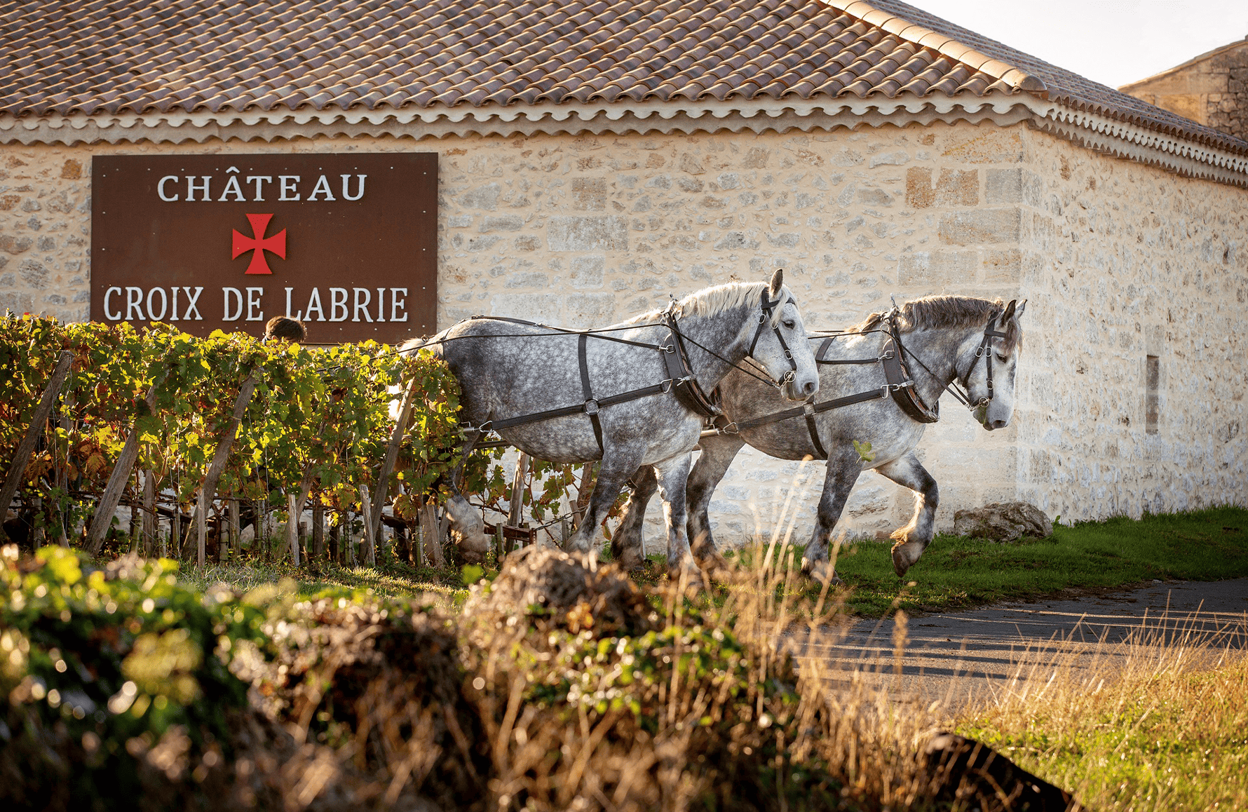 historien om Château Croix de Labrie
