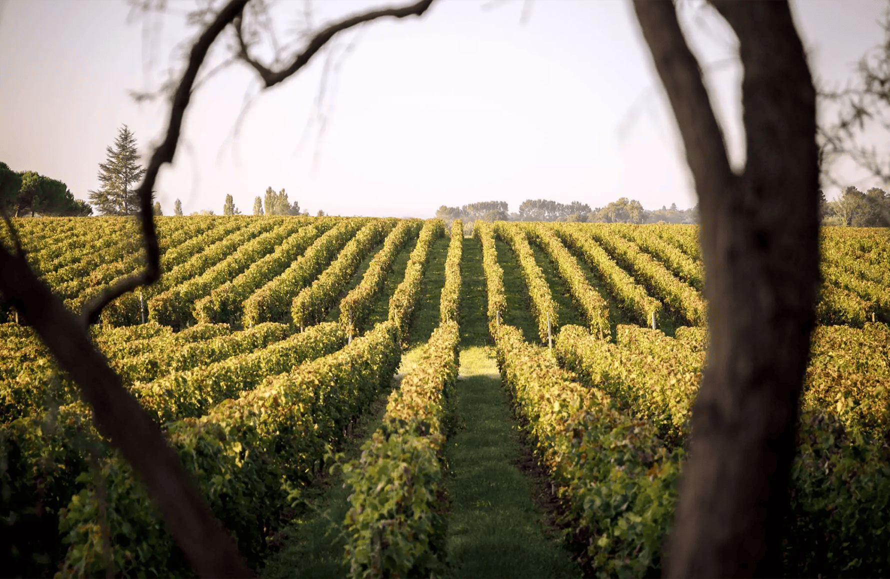 the story of Château Duhart-Milon