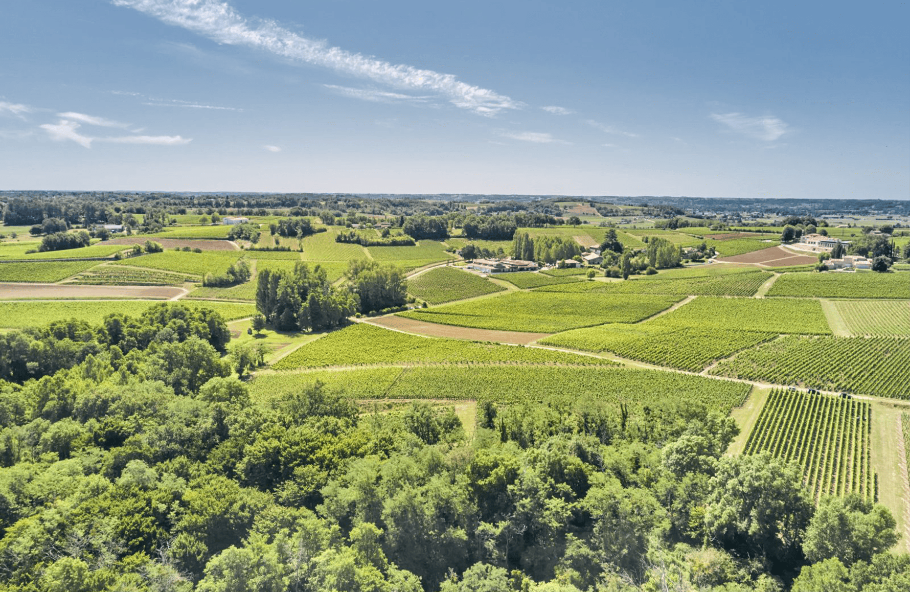 l’histoire du Château Fleur Cardinale