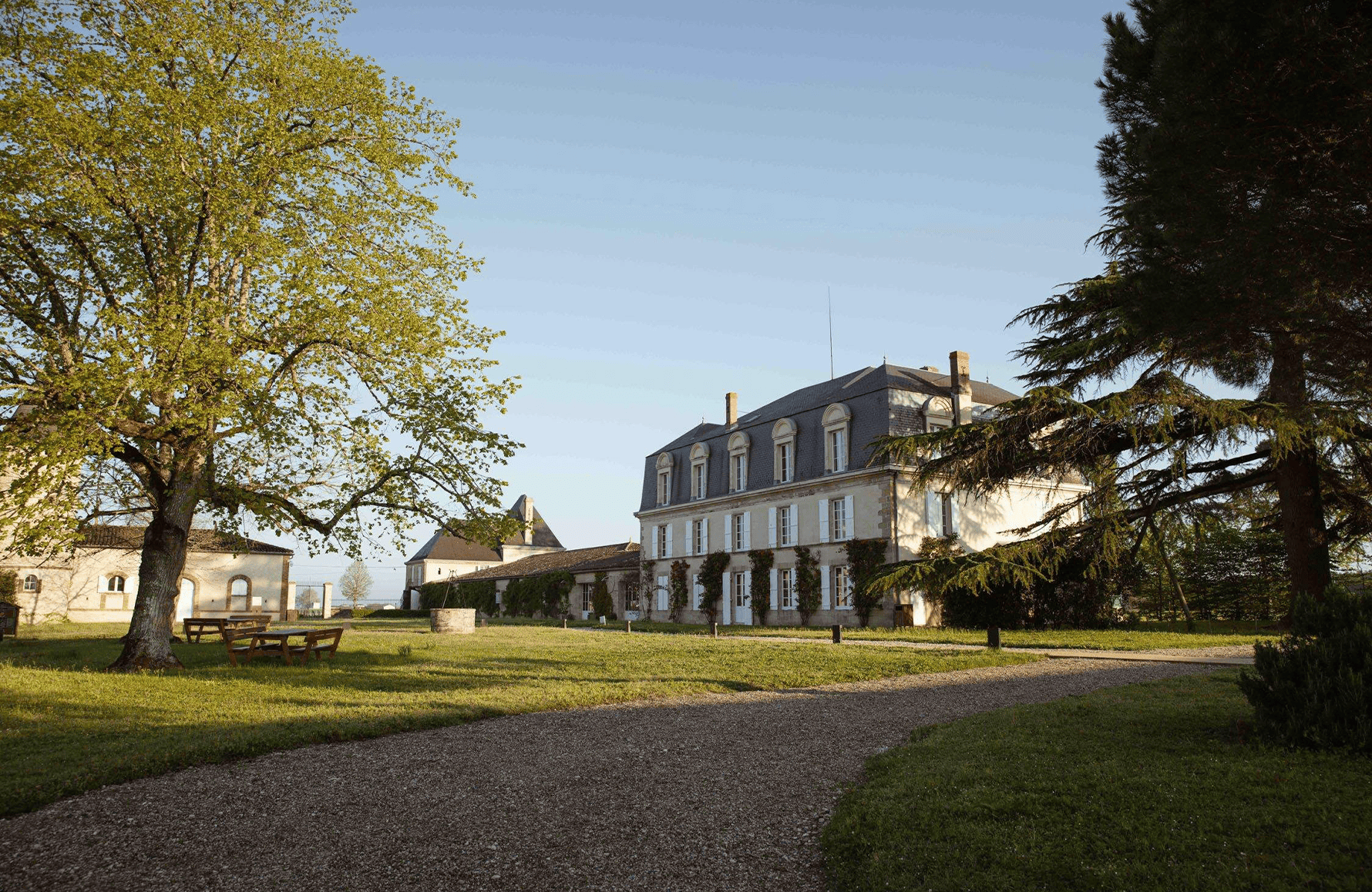 historien om Château Guiraud