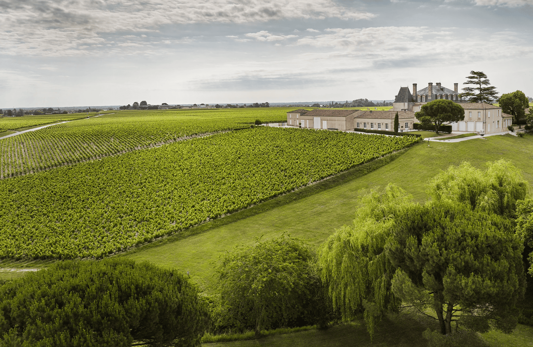 l’histoire du Château Grand-Puy-Lacoste