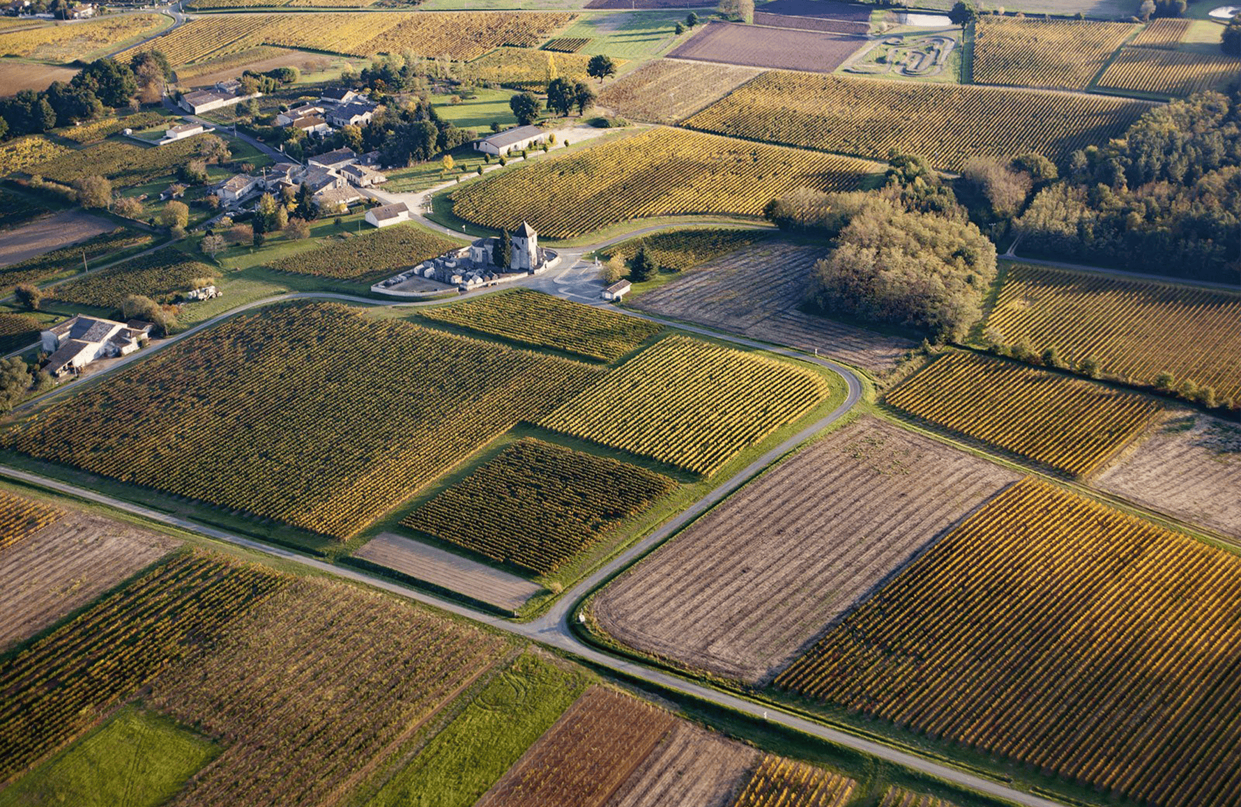 historien om Château Joanin Bécot
