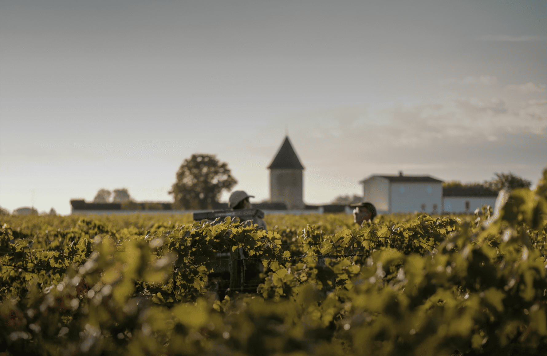 the story of Château La Lagune