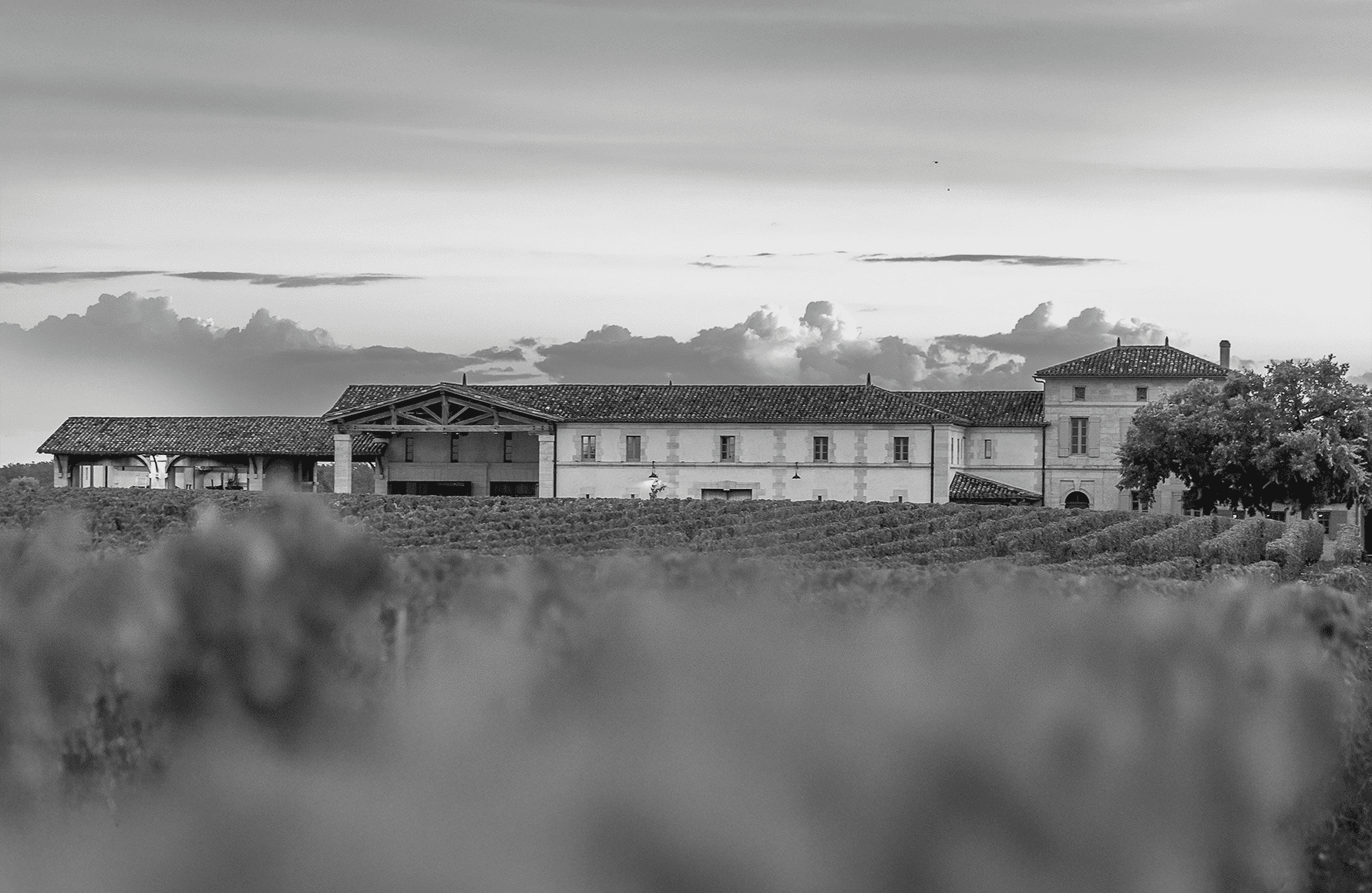 historien om Château Lafleur
