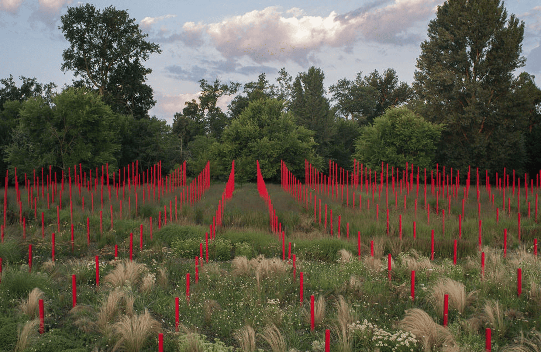 the story of Château Larrivet Haut-Brion