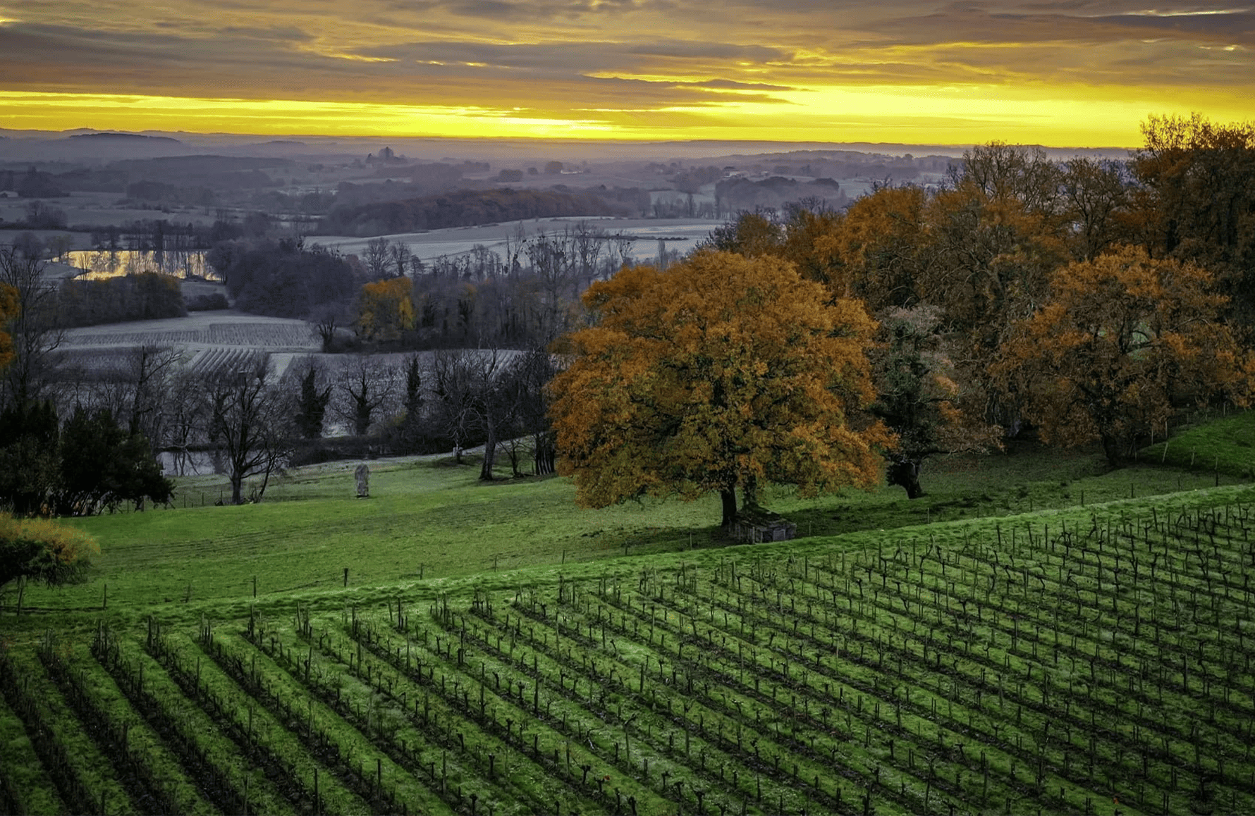 l’histoire du Château Le Puy