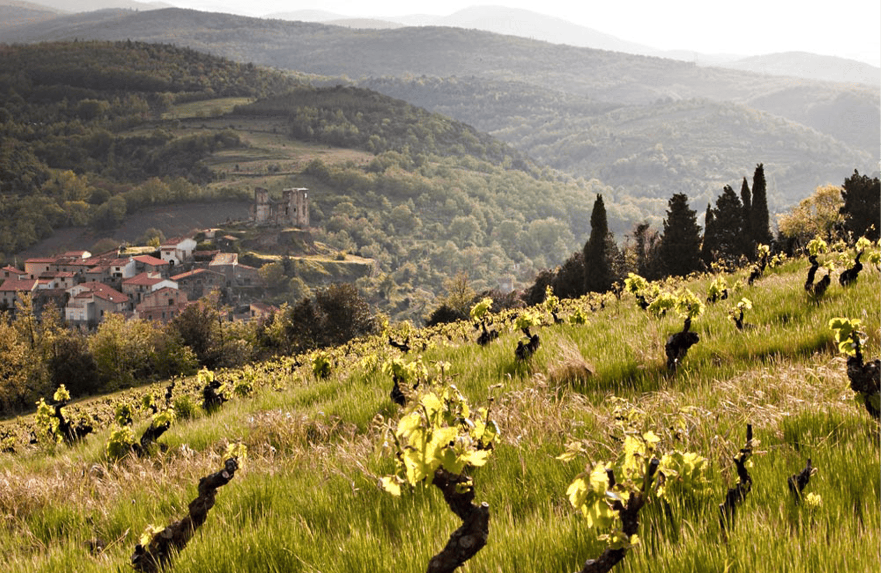 l’histoire du Le Soula