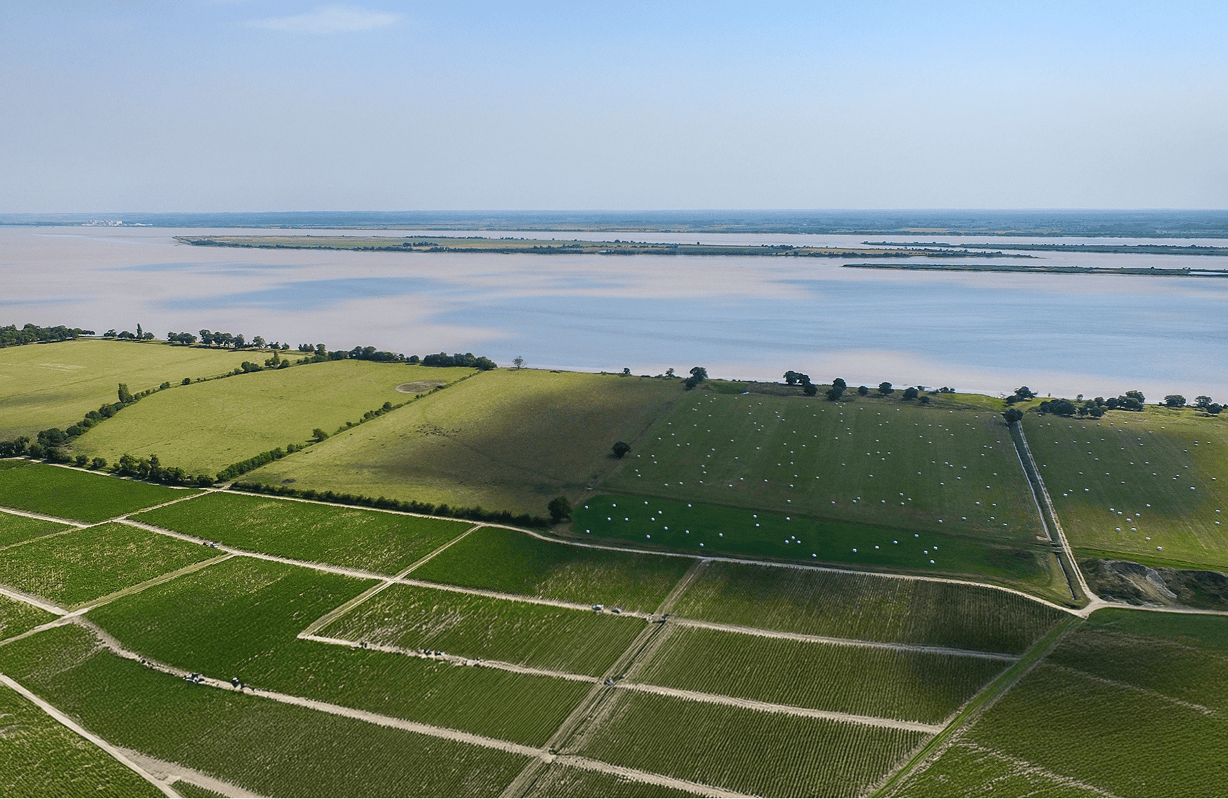 l’histoire du Château Léoville Las Cases