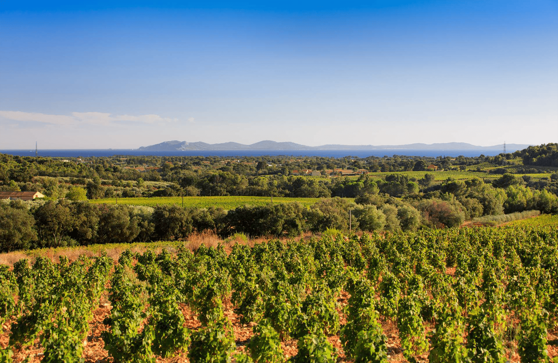 the story of Château Les Valentines