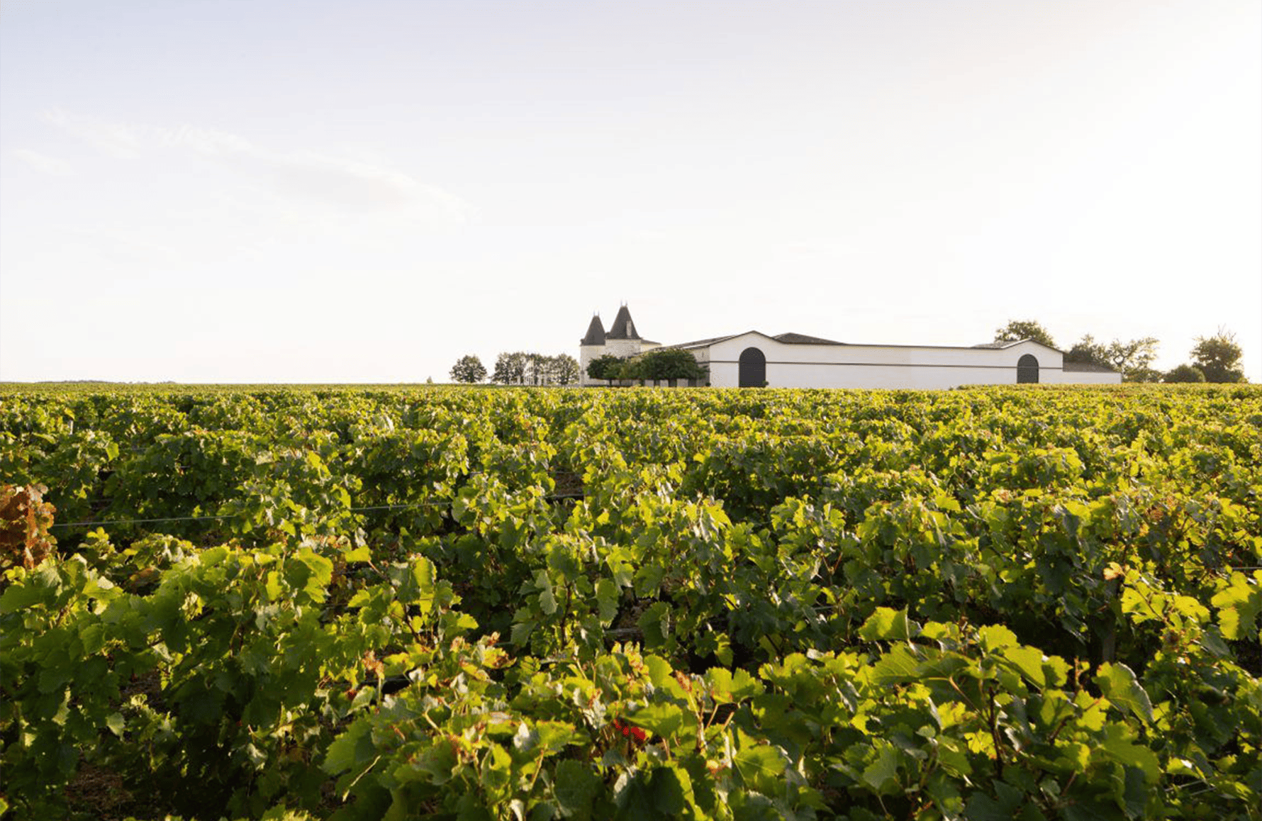 the story of Château Lilian Ladouys