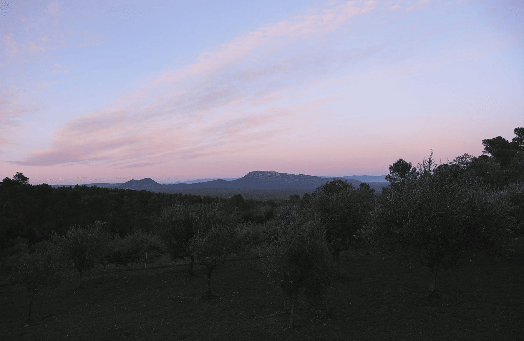historien om Château Miraval